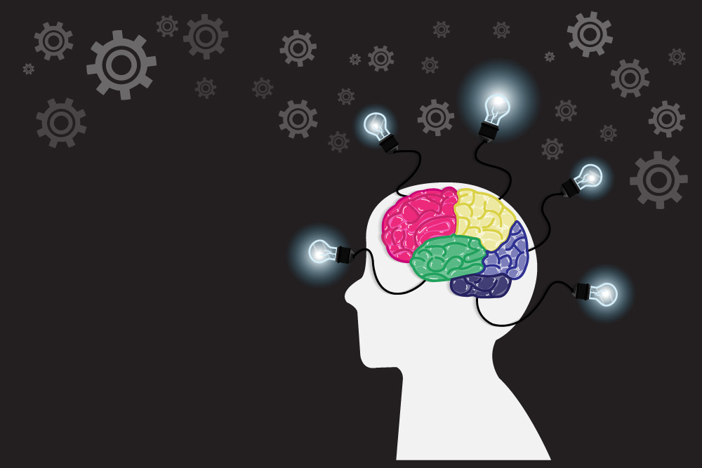 Konzentration und Gedächtnis mit Nahrungsergänzung verbessern