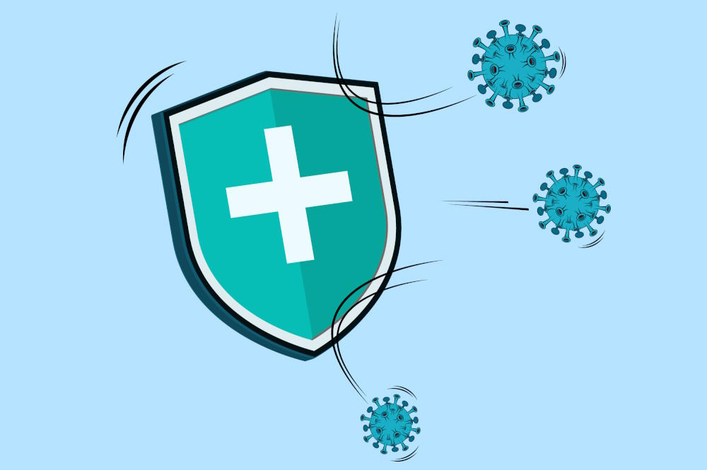 Immunsystem