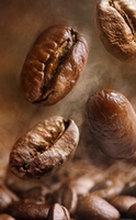 Das morgendliche Proteingetränk mit echtem Arabica-Kaffee