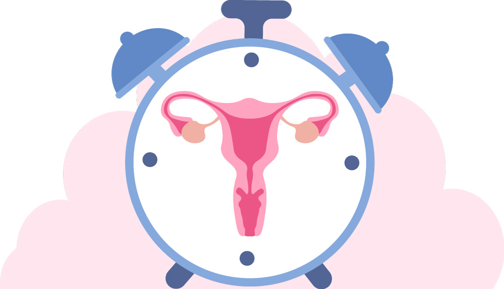 Hopfen und Traubensilberkerze: Wohlbefinden und Erholung in den Wechseljahren