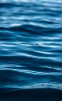 Was sind die Kontraindikationen von Magnesium?