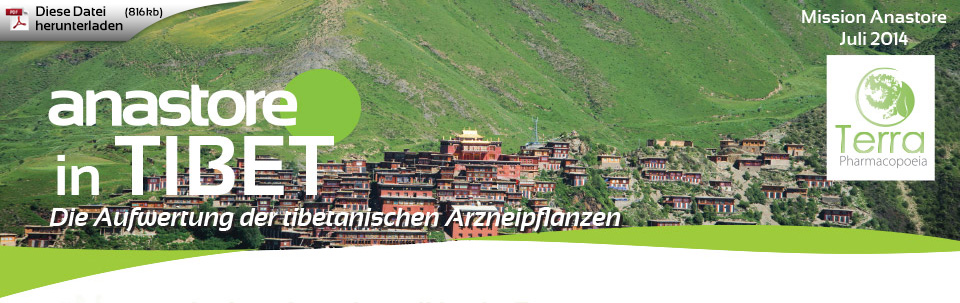 Anastore in Tibet - Die Aufwertung der tibetanischen Arzneipflanzen