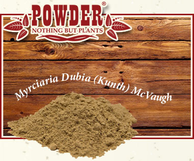 POWDER - CAMU-CAMU