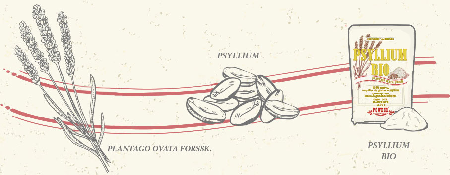 BIOLOGISCHE PSYLLIUM PULVER POWDER
