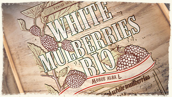 BIOLOGISCHE WEISSE MAULBEERREN