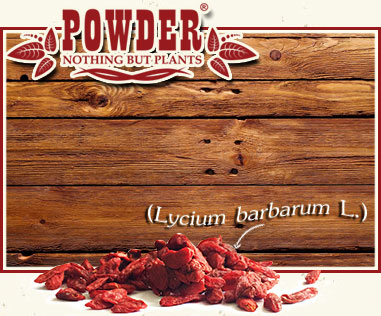 POWDER - GOJI BIO