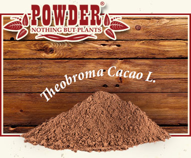 POWDER - BIOLOGISCHES ROHKAKAO PULVER