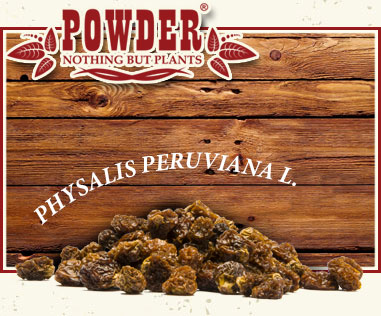 POWDER - BIO-INKA-BEEREN