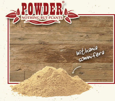 POWDER - ASHWAGANDHA BIO