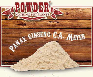 POWDER - BIOLOGISCHES WEISSER GINSENG PULVER