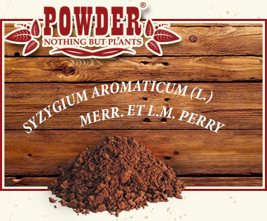 POWDER - BIOLOGISCHES GEWÜRZNELKE