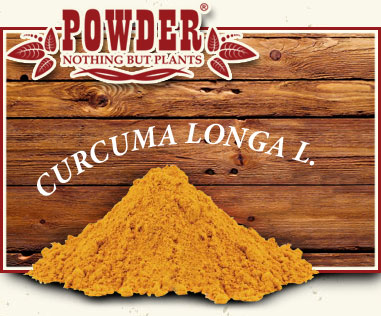 POWDER - KURKUMA