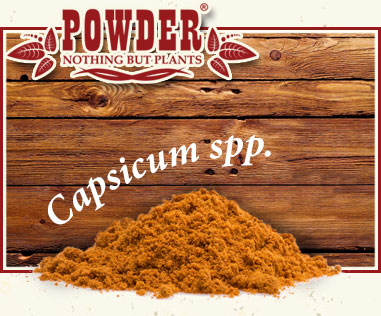 POWDER - BIOLOGISCHE CAYENNEPFEFFER