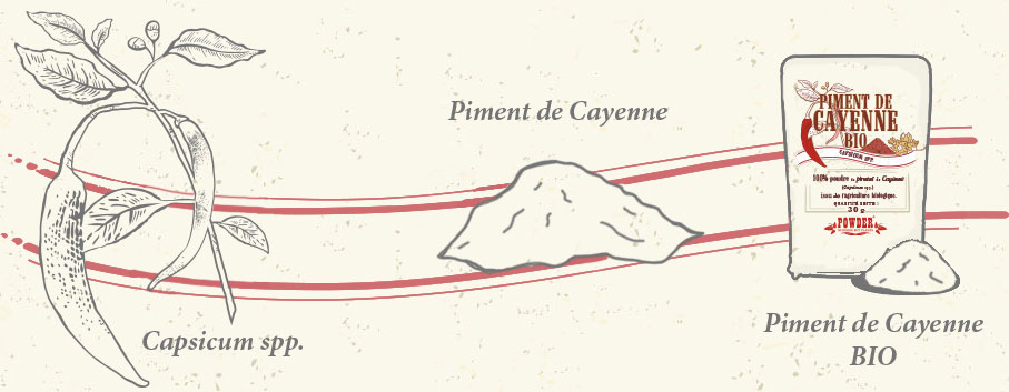 BIOLOGISCHE CAYENNEPFEFFER POWDER