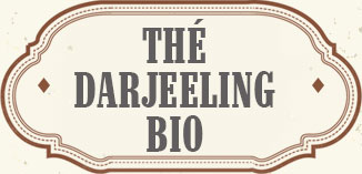 BIOLOGISCHER SCHWARZER TEE DARJEELING