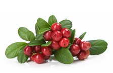 Biologische Cranberry