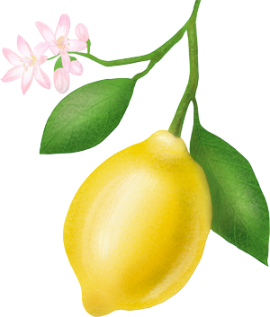 Ätherisches Zitronenöl