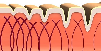 Spendet Feuchtigkeit &ndash; Sch&uuml;tzt &ndash; Regeneriert