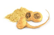 Biologisches Maca