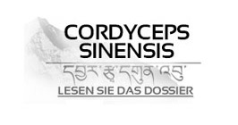Cordyceps (CordycepsPrime™)