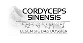 Cordyceps (CordycepsPrime™)