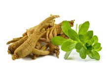 Amerikanischen Ginsengs + Bacopa monnieri