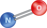 Vorstufe von Stickstoffmonoxid