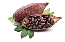 Protein Max Definition 