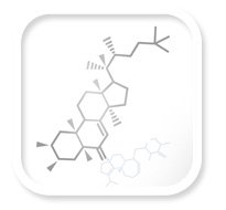 Die wichtigsten Hormone