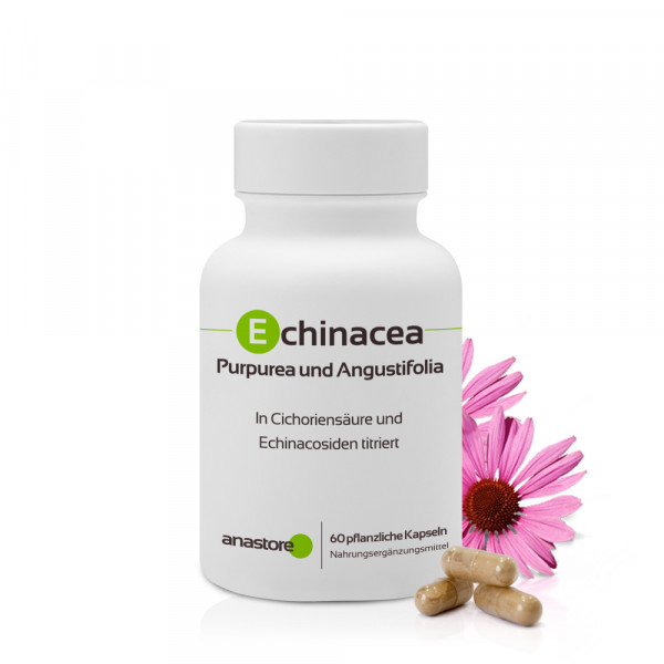 Echinacea Purpurea und Angustifolia