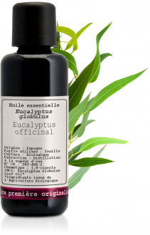 Ätherisches Bio Öl aus Blauem Eukalyptus