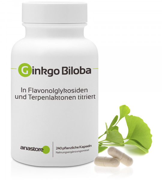 Ginkgo Biloba
