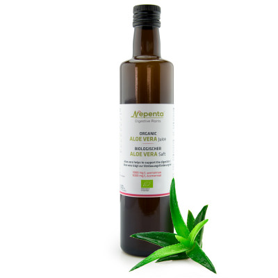 Aloe vera trägt zur Verdauungsförderung bei