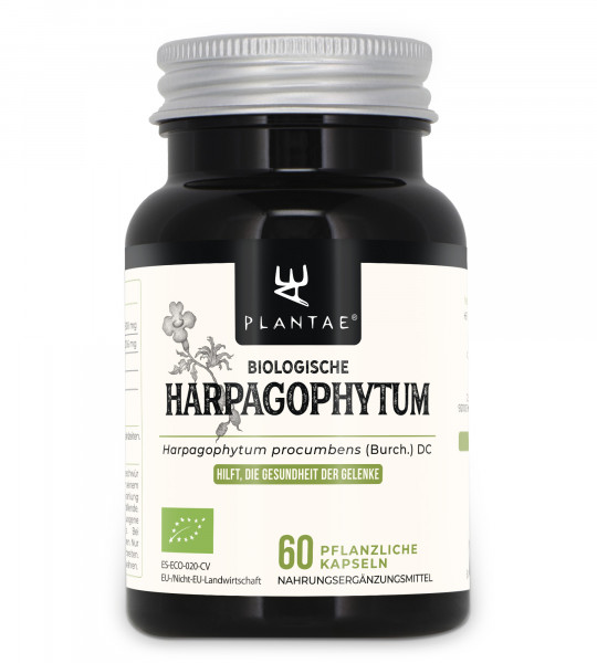 Biologische Teufelskralle (Harpagophytum)