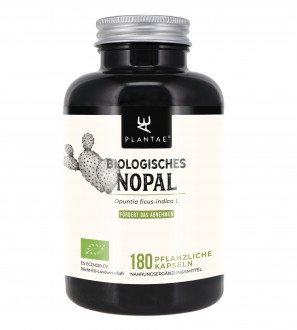 Biologisches Nopal