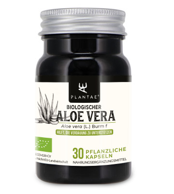Entdecken Sie die Vorteile von Aloe Vera in Kapseln für eine gute Verdauung