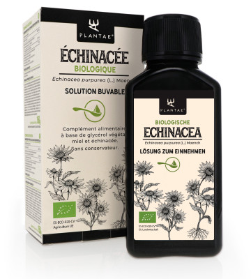 Echinacea unterstützt Ihr Immunsystem