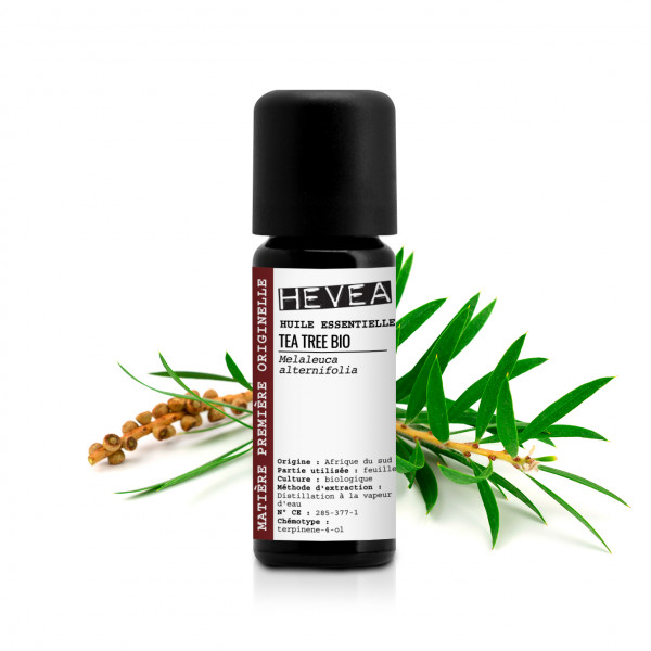 Ätherisches Bio Teebaumöl