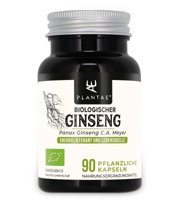 Ginseng liefert Energie und Vitalit&auml;t